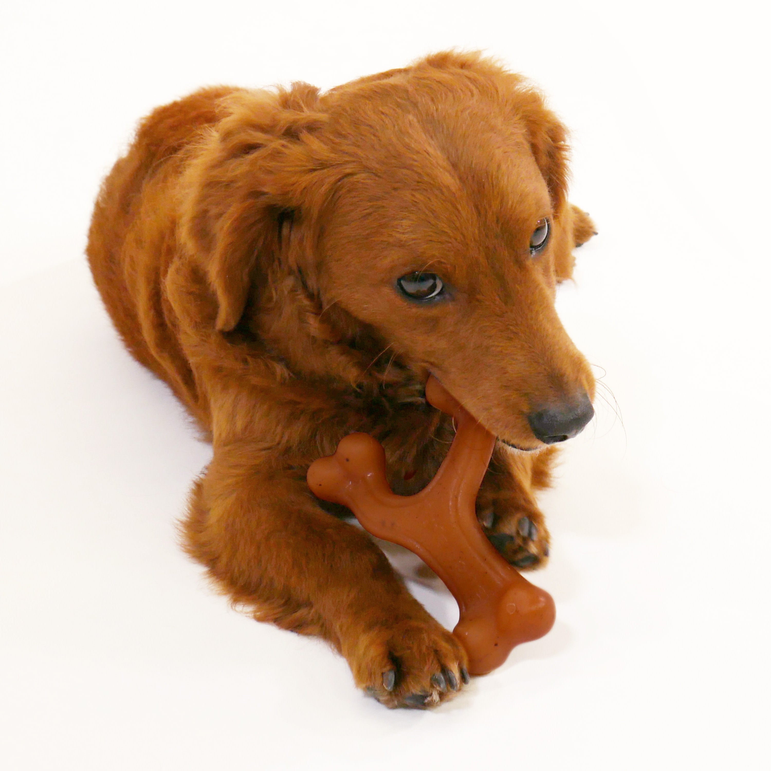 Nylabone Gourmet Style Strong Chew Wishbone Dog Chew Toy Bacon, 1ea/SMall/Regular  Up To 25 Ibs. 1 ct