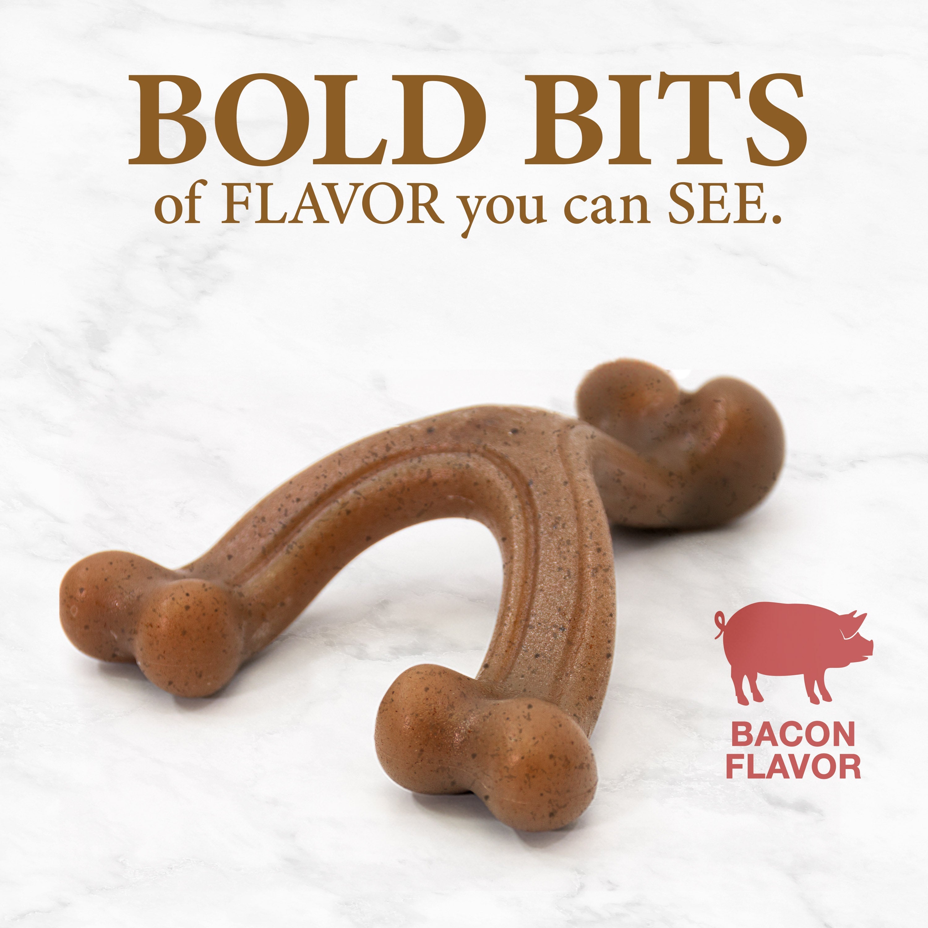 Nylabone Gourmet Style Strong Chew Wishbone Dog Chew Toy Bacon, 1ea/SMall/Regular  Up To 25 Ibs. 1 ct