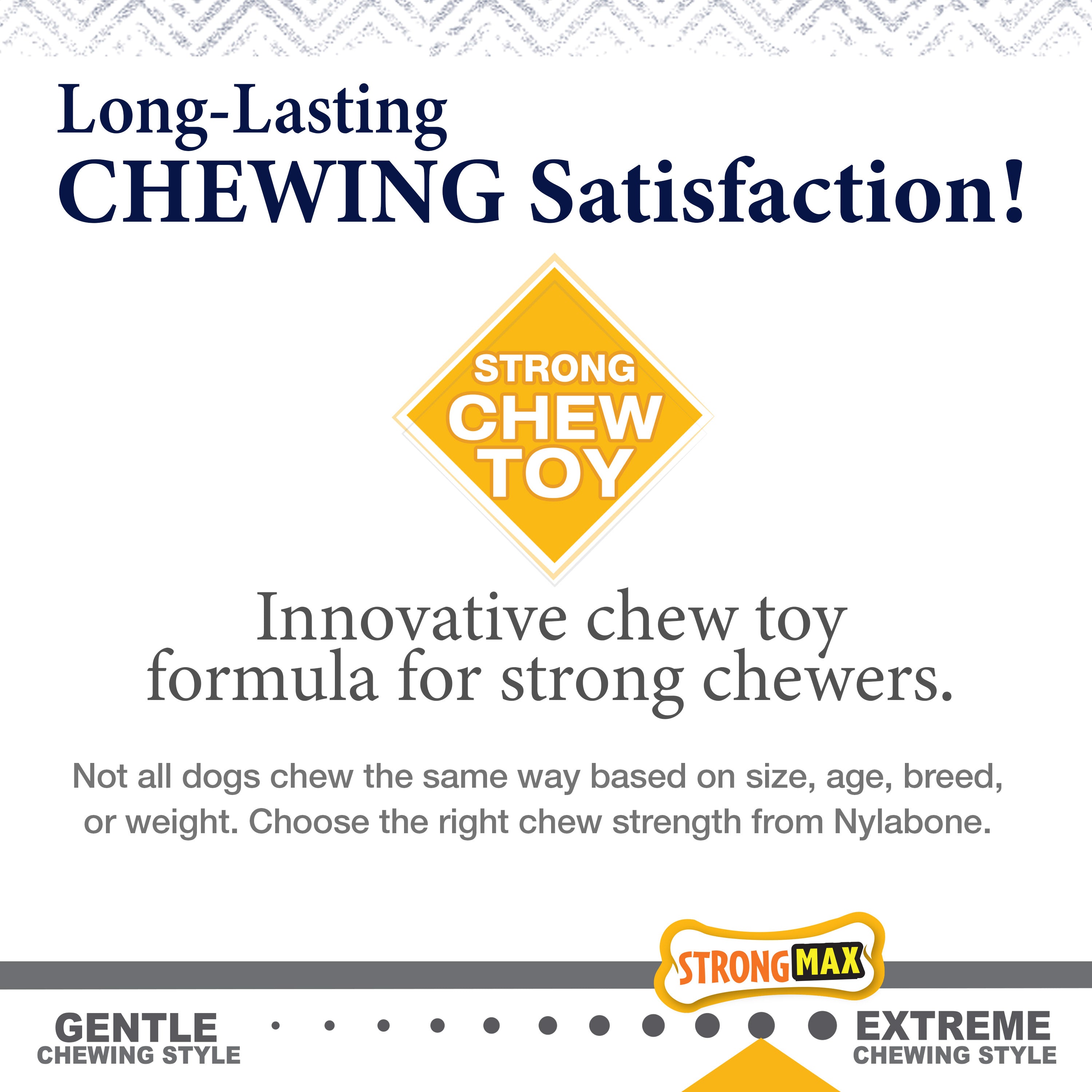 Nylabone Gourmet Style Strong Chew Wishbone Dog Chew Toy Bacon, 1ea/SMall/Regular  Up To 25 Ibs. 1 ct