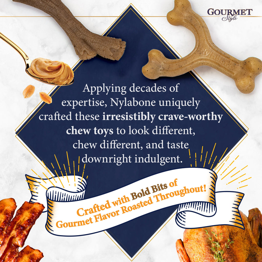 Nylabone Gourmet Style Strong Chew Wishbone Dog Chew Toy Bacon, 1ea/Large/Giant  Up To 50 Lbs. 1 ct