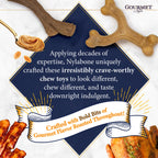 Nylabone Gourmet Style Strong Chew Wishbone Dog Chew Toy Bacon, 1ea/Large/Giant  Up To 50 Lbs. 1 ct