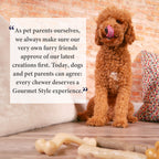 Nylabone Gourmet Style Strong Chew Wishbone Dog Chew Toy Bacon, 1ea/Large/Giant  Up To 50 Lbs. 1 ct