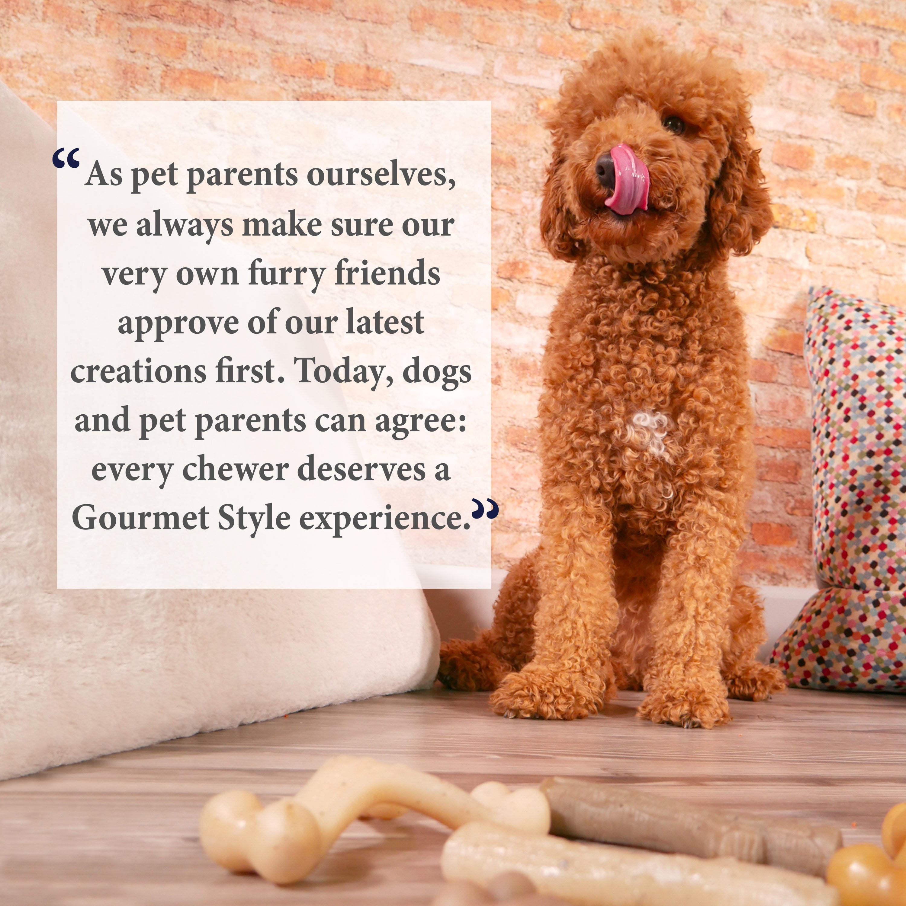 Nylabone Gourmet Style Strong Chew Wishbone Dog Chew Toy Bacon, 1ea/Large/Giant  Up To 50 Lbs. 1 ct