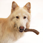Nylabone Gourmet Style Strong Chew Toy Stick, Peanut Butter, 1ea/XL/Souper  50 Lbs. 1 ct