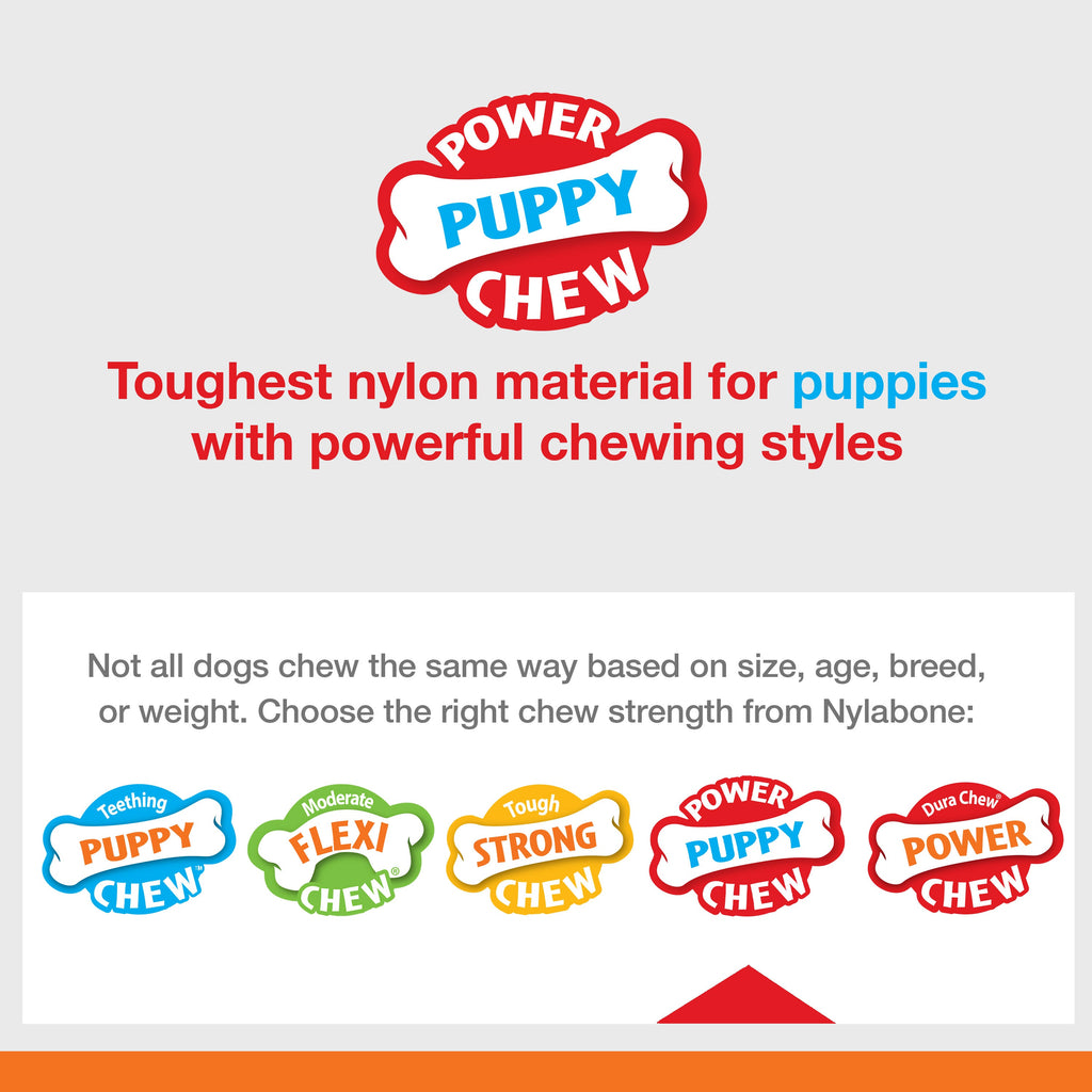 Nylabone Puppy Power Chew Souper Bone  PopIn Puppy Treat Toy Combo Chicken, 1ea/Medium/Wolf  Up To 35 Lbs. 1 ct