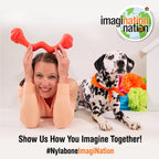 Nylabone Creative Play Tuug Dog Tug Toy Blue, 1ea/Large/Giant  Up To 50 Lbs. 1 ct