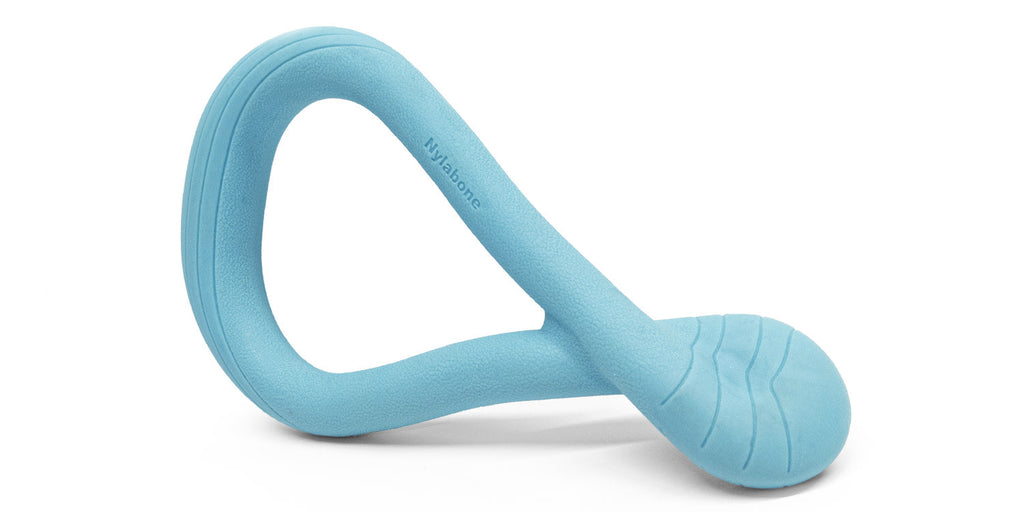 Nylabone Creative Play Tuug Dog Tug Toy Blue, 1ea/Large/Giant  Up To 50 Lbs. 1 ct