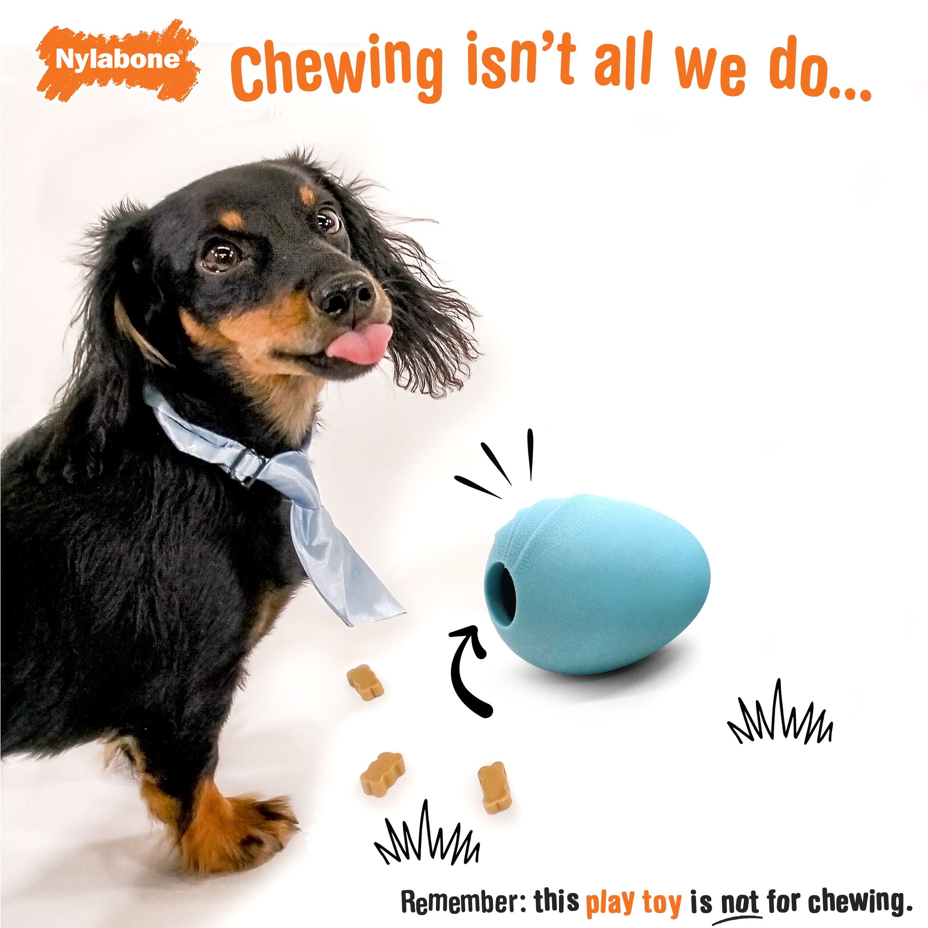 Nylabone Creative Play Eggi Dog Treat Toy Blue, 1ea/Large/Giant  Up To 50 Lbs. 1 ct