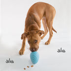 Nylabone Creative Play Eggi Dog Treat Toy Blue, 1ea/Large/Giant  Up To 50 Lbs. 1 ct