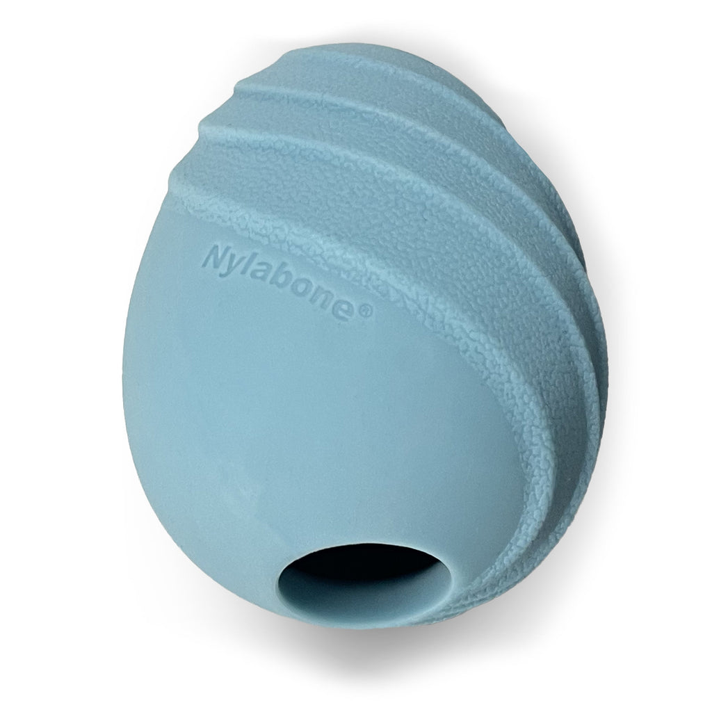 Nylabone Creative Play Eggi Dog Treat Toy Blue, 1ea/Large/Giant  Up To 50 Lbs. 1 ct