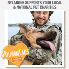 Nylabone Creative Play StikGO Dog Fetch Toy Red, 1ea/Large/Giant  Up To 50 Lbs. 1 ct