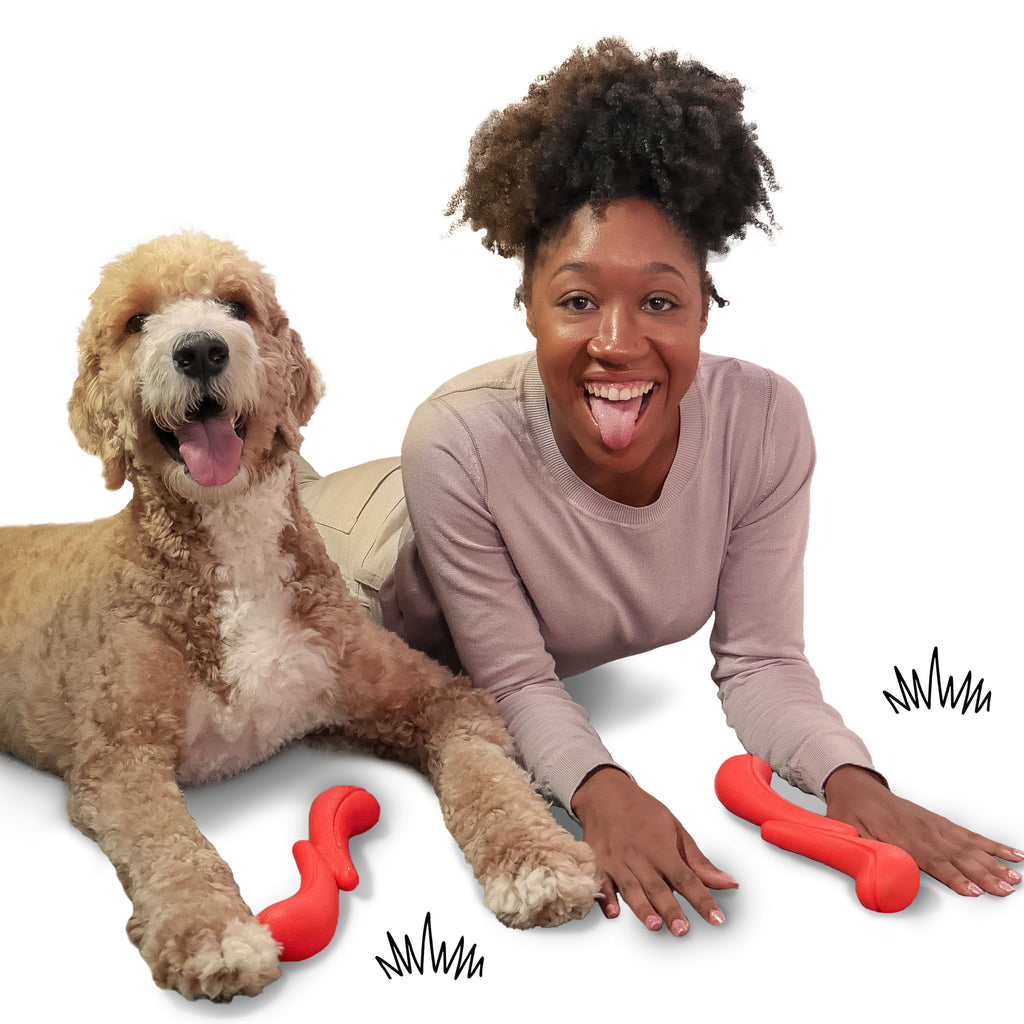 Nylabone Creative Play StikGO Dog Fetch Toy Red, 1ea/Large/Giant  Up To 50 Lbs. 1 ct