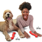 Nylabone Creative Play StikGO Dog Fetch Toy Red, 1ea/Large/Giant  Up To 50 Lbs. 1 ct