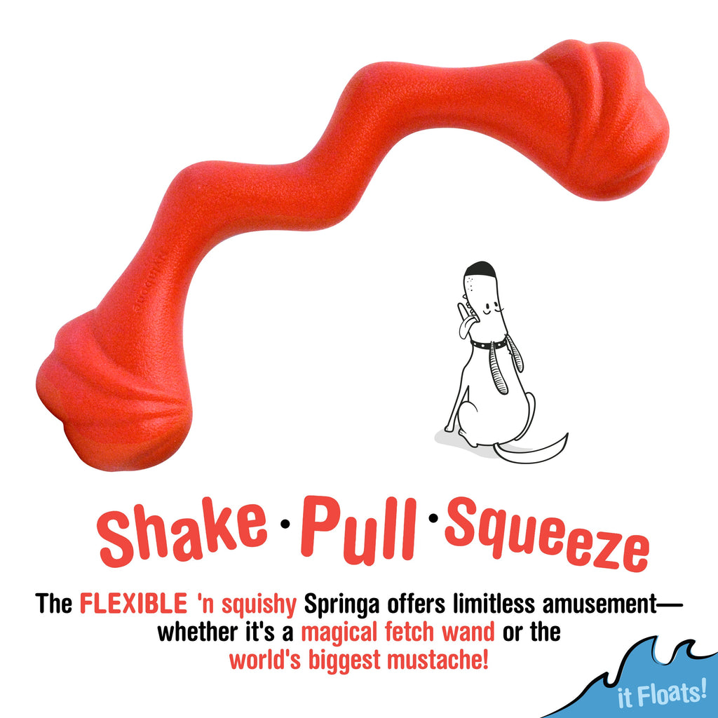 Nylabone Creative Play Springa Dog Pull Toy Red, 1ea/Large/Giant  Up To 50 Lbs. 1 ct