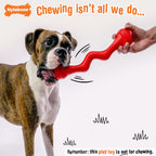 Nylabone Creative Play Springa Dog Pull Toy Red, 1ea/Large/Giant  Up To 50 Lbs. 1 ct