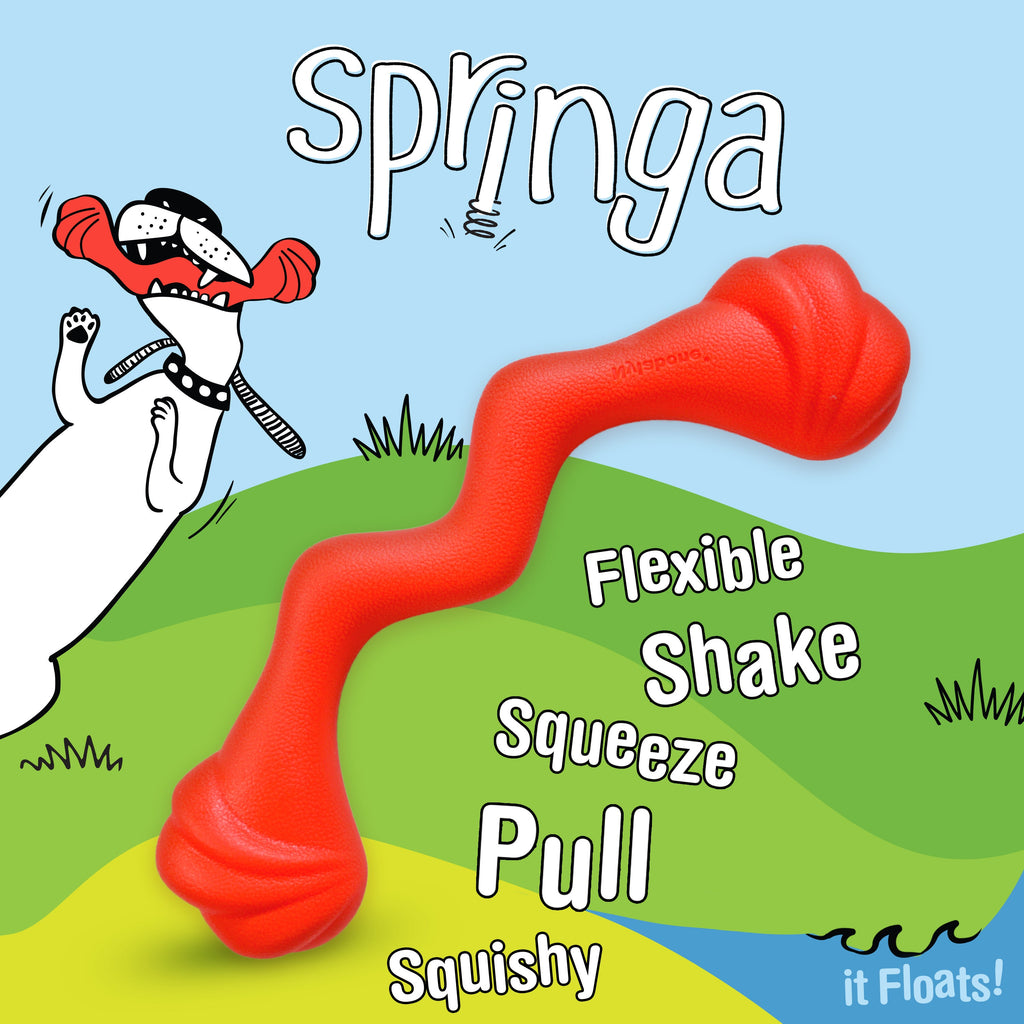 Nylabone Creative Play Springa Dog Pull Toy Red, 1ea/Large/Giant  Up To 50 Lbs. 1 ct