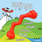 Nylabone Creative Play Springa Dog Pull Toy Red, 1ea/Large/Giant  Up To 50 Lbs. 1 ct