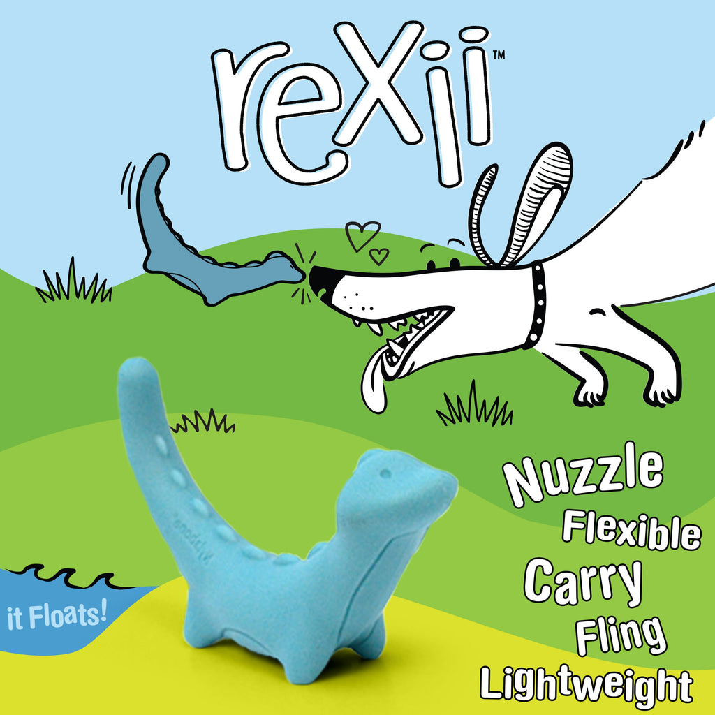Nylabone Creative Play Rexii Interactive Dog Toy Blue, 1ea/SMall/Regular  Up To 25 Ibs. 1 ct