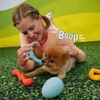 Nylabone Creative Play Rexii Interactive Dog Toy Blue, 1ea/SMall/Regular  Up To 25 Ibs. 1 ct