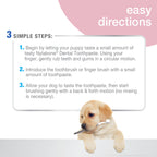 Nylabone Advanced Oral Care Puppy Dental Kit with Pillowy SoftBristle Toothbrush Peanut Butter, 1ea/2.5 oz 3 ct