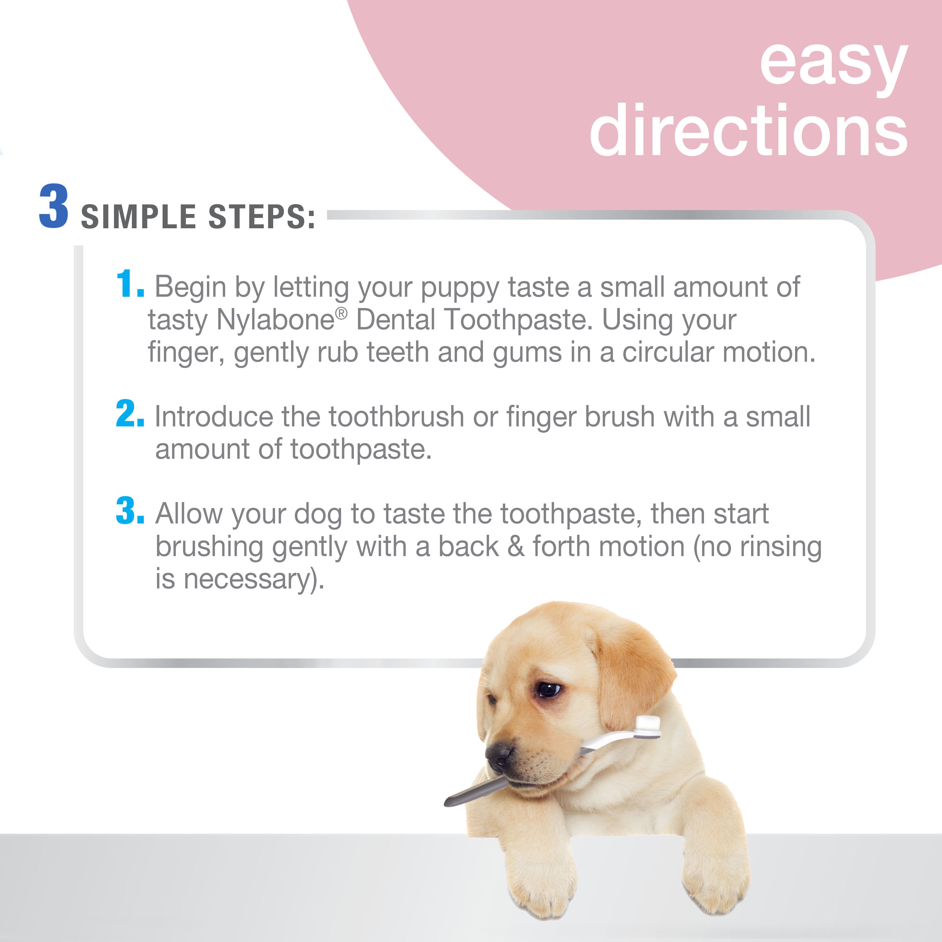 Nylabone Advanced Oral Care Puppy Dental Kit with Pillowy SoftBristle Toothbrush Peanut Butter, 1ea/2.5 oz 3 ct