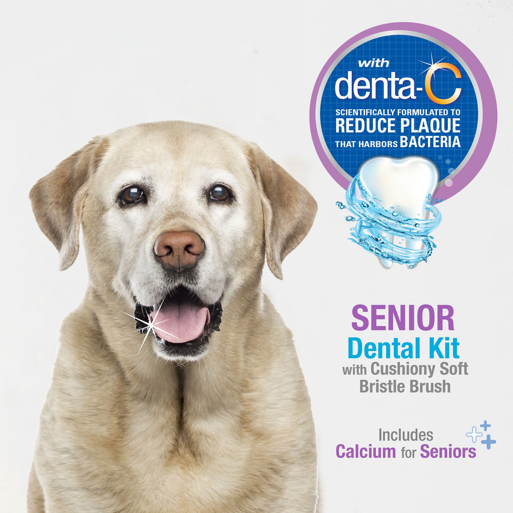 Nylabone Advanced Oral Care Senior Dog Dental Kit with Cushiony SoftBristle Toothbrush Bacon, 1ea/2.5 oz 3 ct