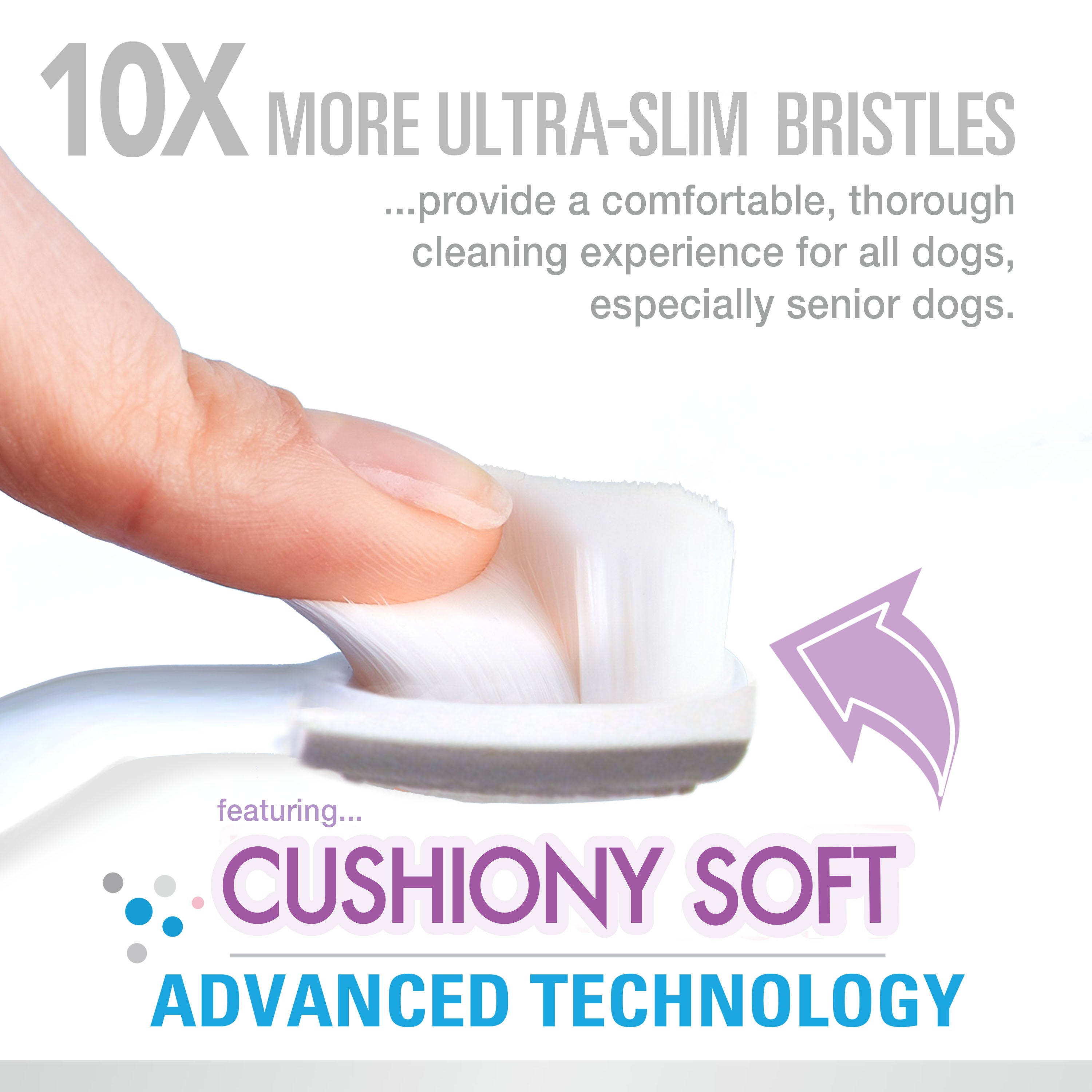 Nylabone Advanced Oral Care Senior Dog Dental Kit with Cushiony SoftBristle Toothbrush Bacon, 1ea/2.5 oz 3 ct