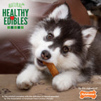 Nylabone Healthy Edibles AllNatural Long Lasting Puppy Chew Treats Turkey  Sweet Potato, 1ea/SMall/Regular  Up To 25 Ibs. 8 ct