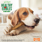 Nylabone Healthy Edibles AllNatural Long Lasting Chew Treats Bacon, 1ea/Medium/Wolf  Up To 35 Lbs. 7 ct