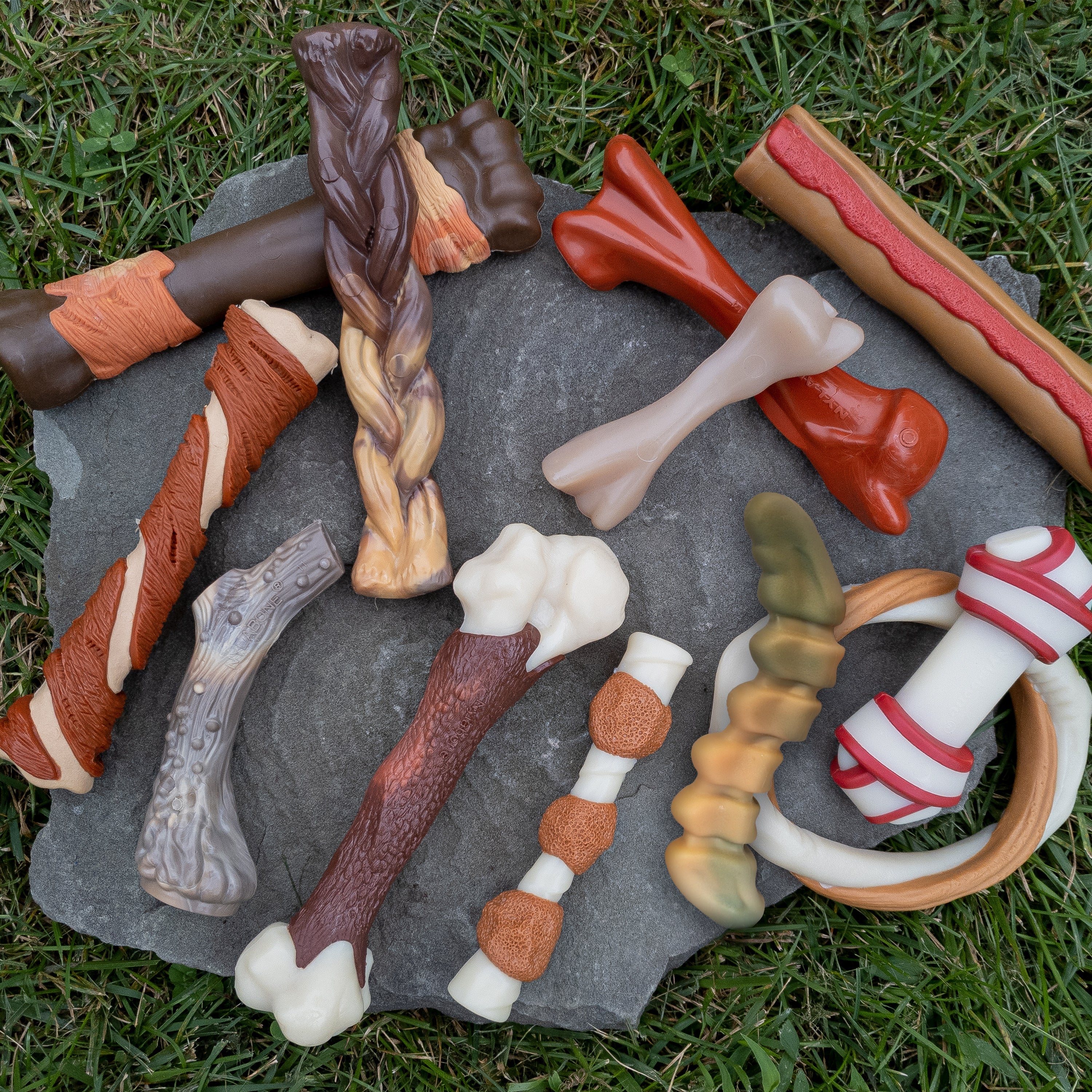 Nylabone Power Chew Gator Tail Alternative Chew Toy Chicken, 1ea/Large/Giant  Up To 50 Lbs. 1 ct