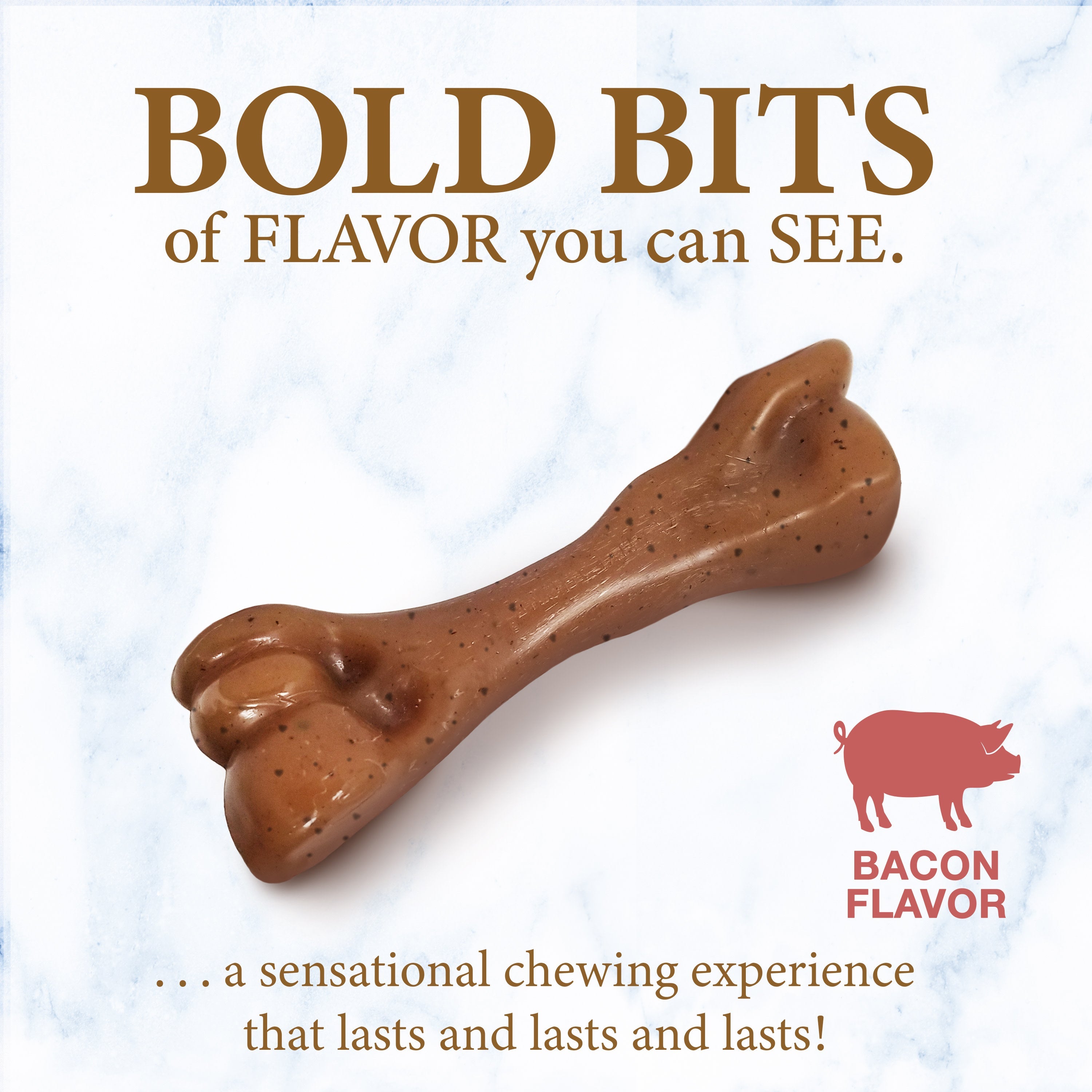 Nylabone Gourmet Style Strong Femur Puppy Chew Toy Bacon, 1ea/SMall/Regular  Up To 25 Ibs. 1 ct