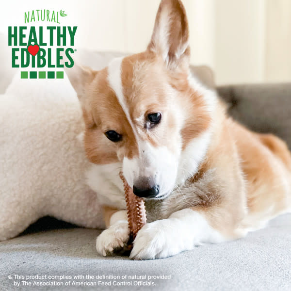 Nylabone Healthy Edibles Meaty Center AllNatural Long Lasting Chew Treats Beef, 1ea/SMall  Up To 30 Lbs. 12 ct