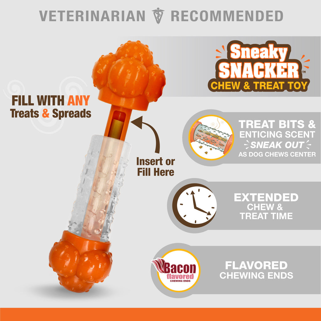 Nylabone Sneaky Snacker Dog Treat Toy Bacon, Orange, 1ea/Medium/Wolf  Up To 35 Lbs. 1 ct