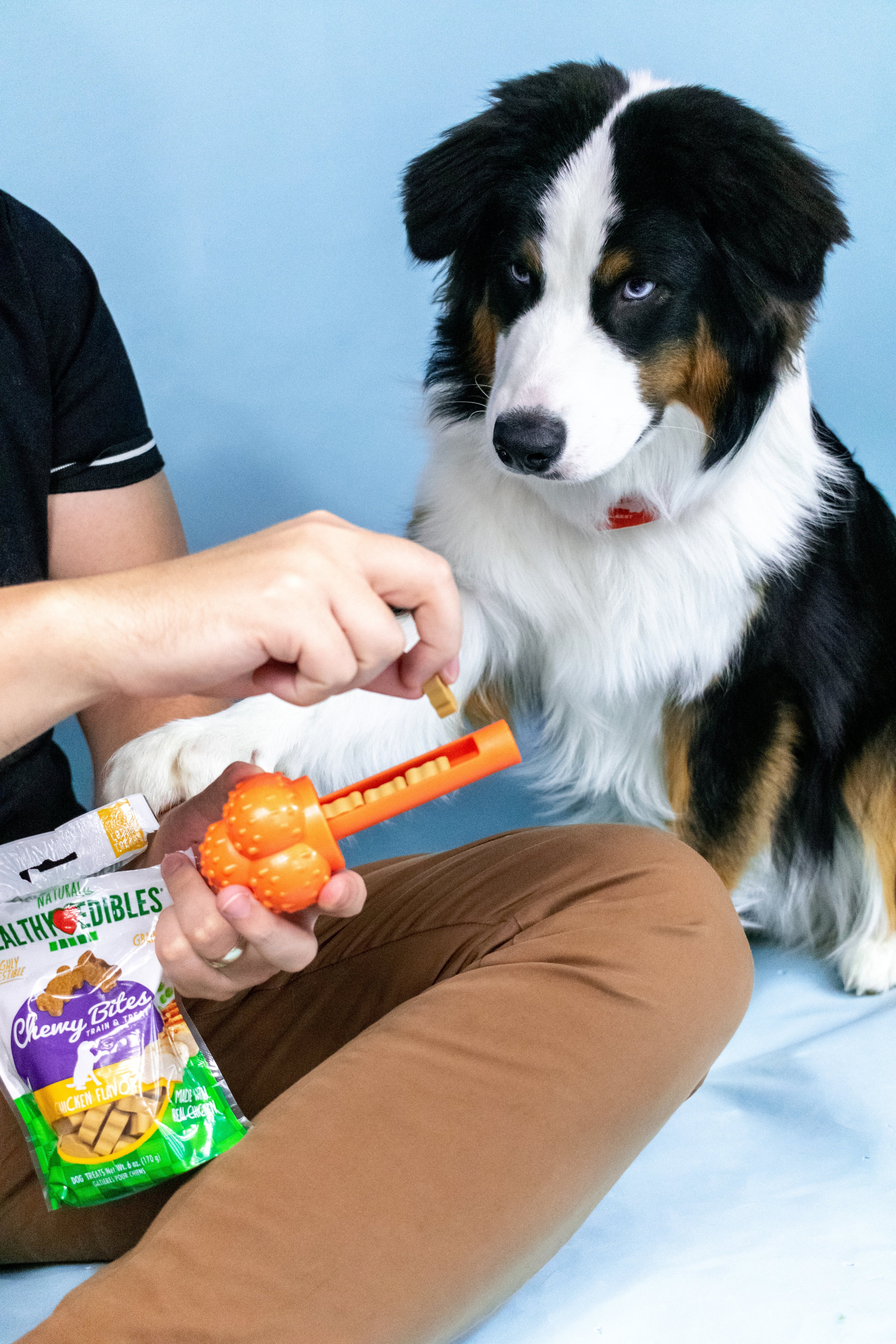 Nylabone Sneaky Snacker Dog Treat Toy Bacon, Orange, 1ea/Large/Giant  Up To 50 Lbs. 1 ct