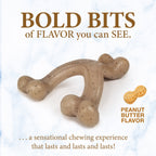 Nylabone Gourmet Style Strong Wishbone Puppy Chew Toy Peanut Butter, 1ea/SMall/Regular  Up To 25 Ibs. 1 ct