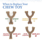 Nylabone Gourmet Style Strong Wishbone Puppy Chew Toy Peanut Butter, 1ea/SMall/Regular  Up To 25 Ibs. 1 ct
