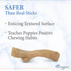 Nylabone Gourmet Style Strong Stick Puppy Chew Toy Chicken, 1ea/Medium/Wolf  Up To 35 Lbs. 1 ct