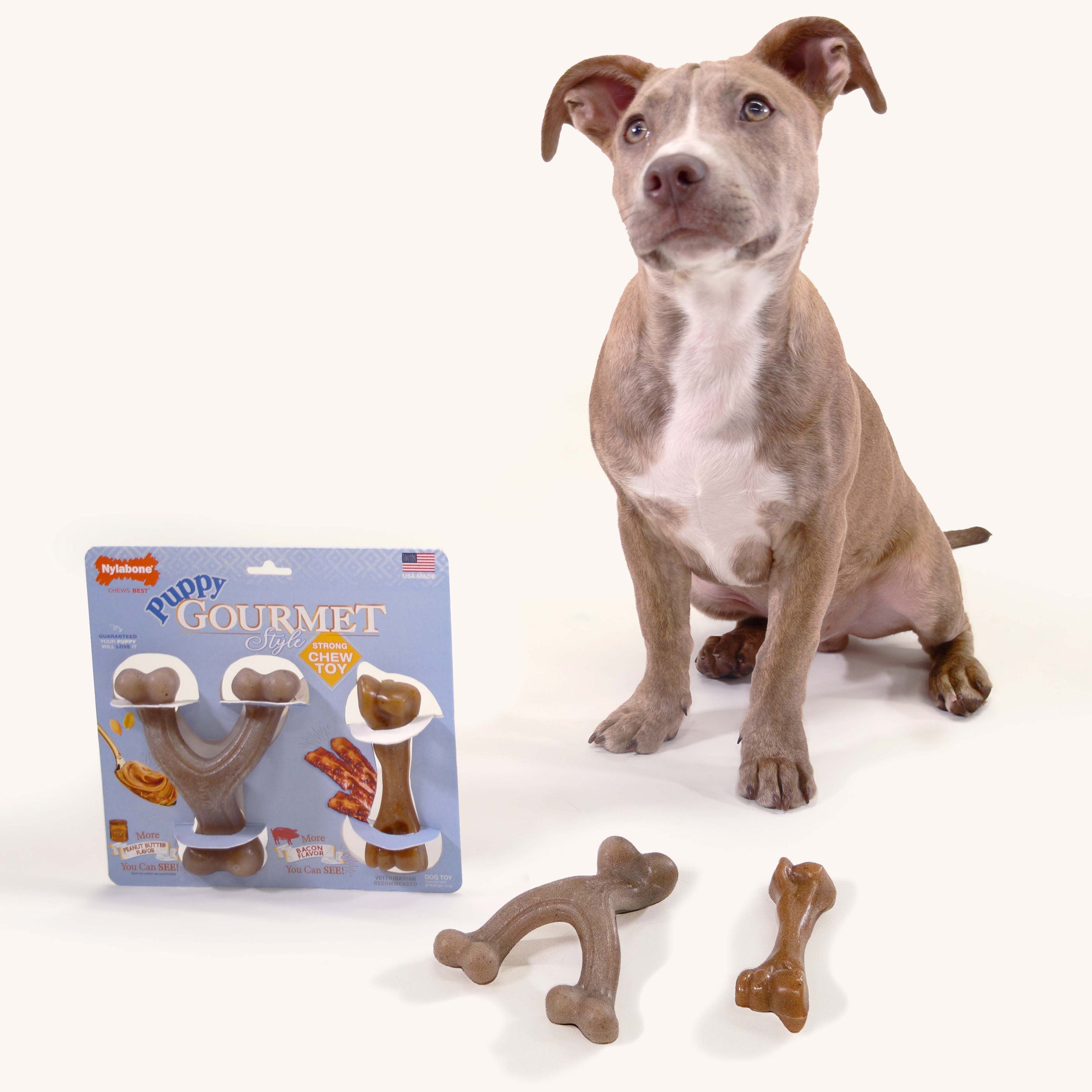 Nylabone Gourmet Style Puppy Chew Toy Twin Pack Peanut Butter  Bacon, 1ea/SMall/Regular  Up To 25 Ibs. 2 ct