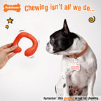 Nylabone Creative Play CShuu Dog Chase Toy Red, 1ea/SMall/Regular  Up To 25 Ibs. 1 ct