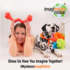 Nylabone Creative Play CShuu Dog Chase Toy Red, 1ea/SMall/Regular  Up To 25 Ibs. 1 ct