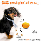 Nylabone Creative Play Eggi Dog Treat Toy Orange, 1ea/SMall/Regular  Up To 25 Ibs. 1 ct