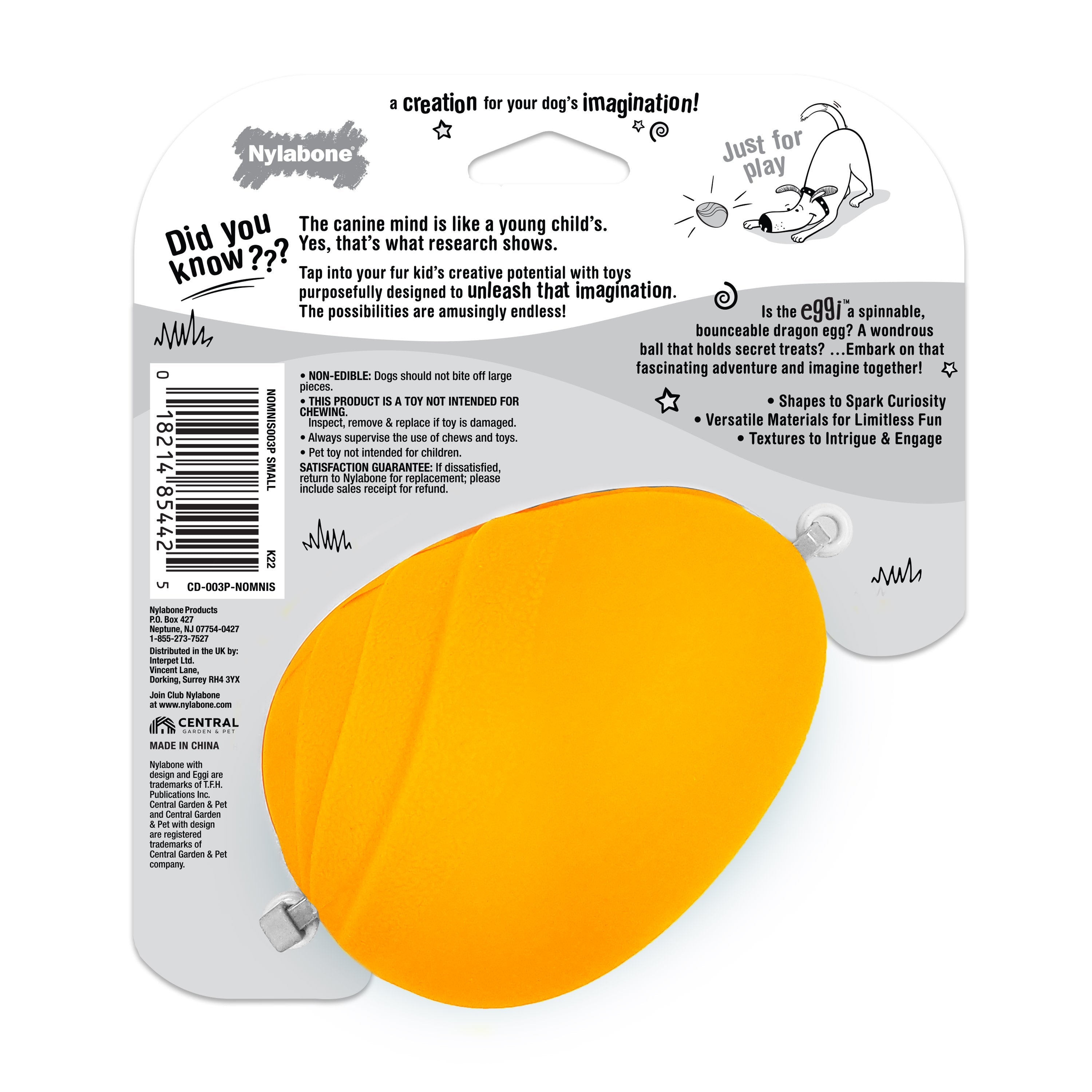 Nylabone Creative Play Eggi Dog Treat Toy Orange, 1ea/SMall/Regular  Up To 25 Ibs. 1 ct