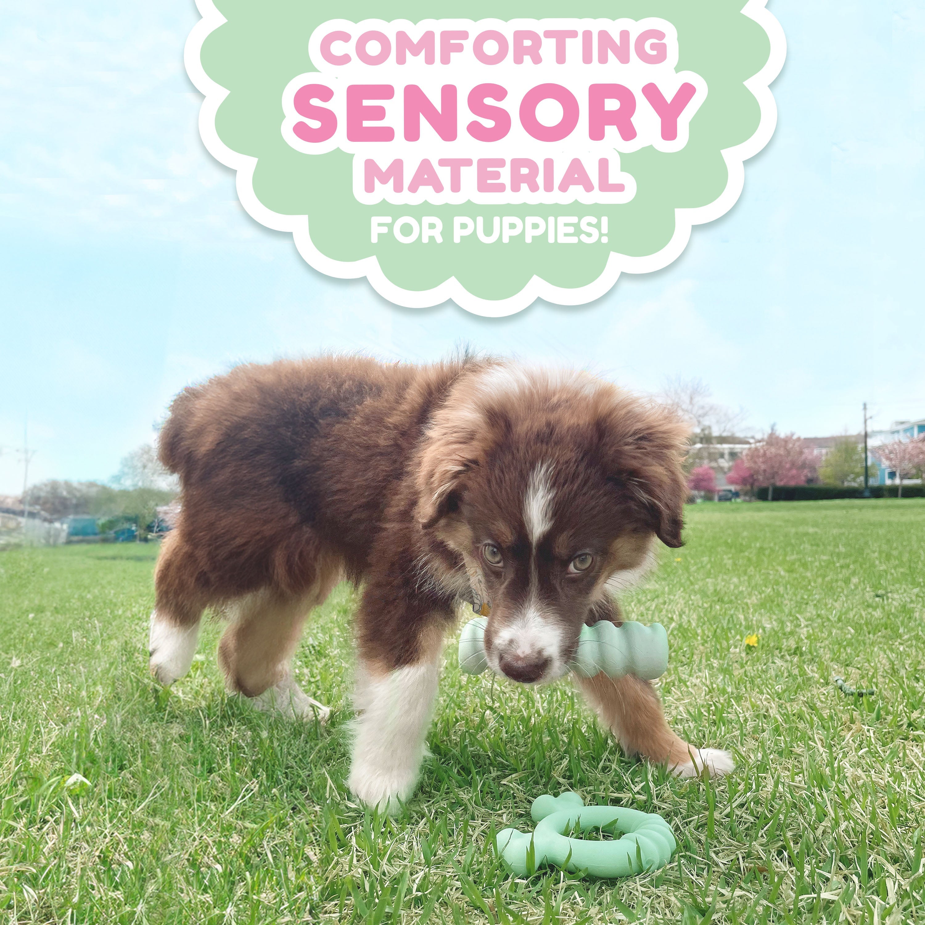 Nylabone Sensory Material Puppy Teething Toy Peanut Butter, 1ea/SMall/Regular  Up To 25 Ibs. 1 ct