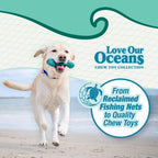 Nylabone Power Chew Love Our Oceans Teddy Bear Bone Dog Chew Toy Beef Jerky, 1ea/Large