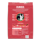 IAMS Minichunks Adult Dry Dog Food Lamb & Rice 15lb