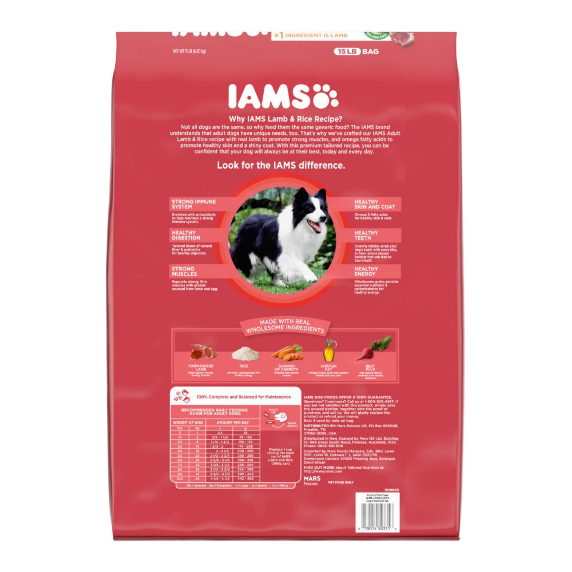IAMS Minichunks Adult Dry Dog Food Lamb & Rice 15lb