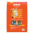 IAMS Proactive Health Adult Dry Cat Food Salmon 16lb