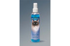 Bio Groom Klean Kitty Waterless Bath 1ea/8 Fl. oz