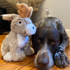 Tall Tails Dog Plush Jackalope Twitchy 9 Inch Default Title
