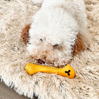 Tall Tails Dog Goat Bone Yellow 6 Inch Default Title